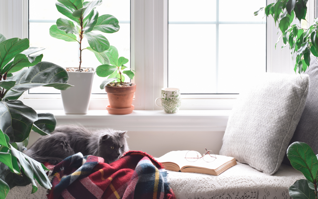 Creating a Cozy Reading Nook: DIY Ideas for Book Lovers